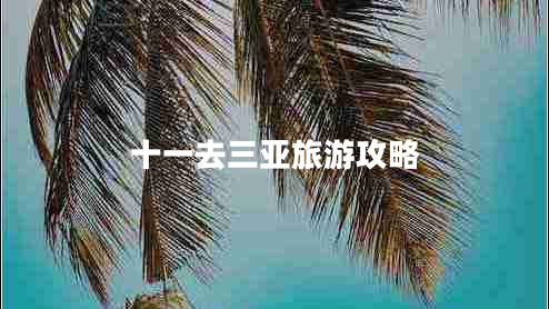 十一去三亞旅游攻略 十一去三亞旅游攻略