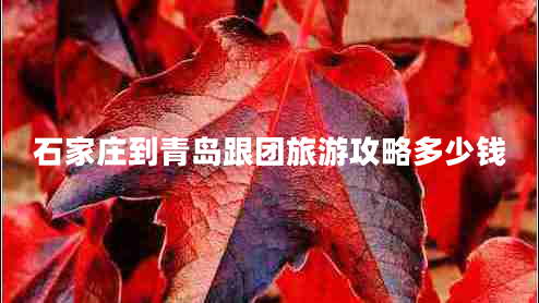 石家莊到青島跟團(tuán)旅游攻略多少錢