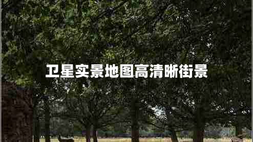 衛(wèi)星實(shí)景地圖高清晰街景 衛(wèi)星實(shí)景地圖高清晰街景