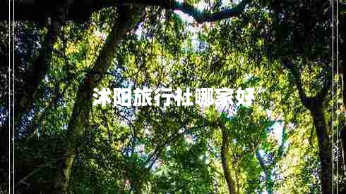 沭陽旅行社哪家好