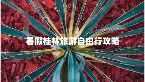 暑假桂林旅游自由行攻略 暑假桂林旅游自由行攻略