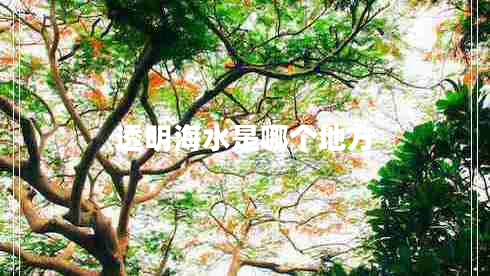 透明海水是哪個(gè)地方