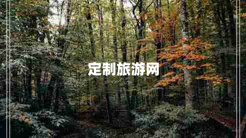 定制旅游網(wǎng)