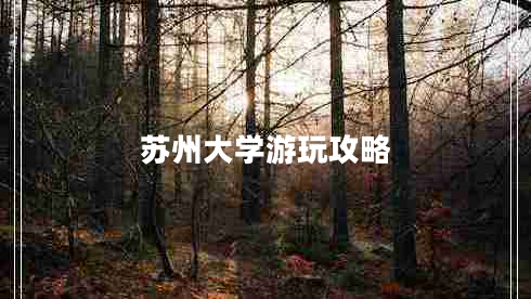 蘇州大學(xué)游玩攻略