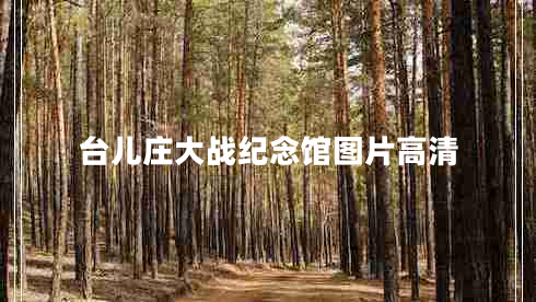 臺(tái)兒莊大戰(zhàn)紀(jì)念館圖片高清