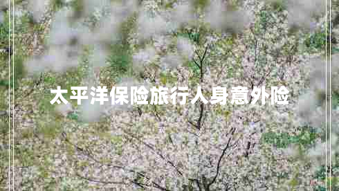 太平洋保險(xiǎn)旅行人身意外險(xiǎn)