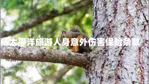 太平洋旅游人身意外傷害保險(xiǎn)條款 太平洋旅游人身意外傷害保險(xiǎn)條款