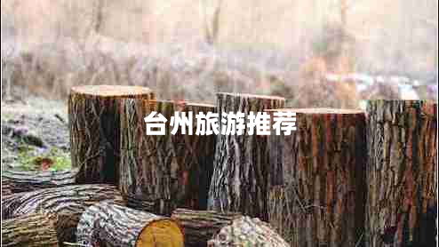 臺(tái)州旅游推薦 臺(tái)州旅游推薦