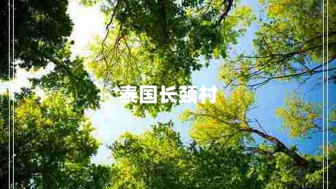 泰國長頸村 泰國長頸村