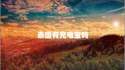 泰國有充電寶嗎