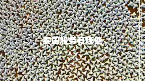 泰國服務(wù)有哪些