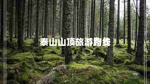 泰山山頂旅游路線 泰山山頂旅游路線