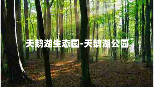 天鵝湖生態(tài)園-天鵝湖公園