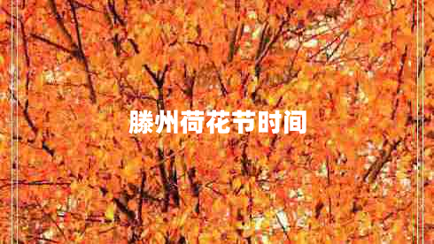 滕州荷花節(jié)時間