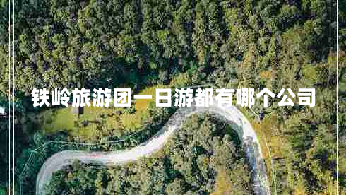 鐵嶺旅游團(tuán)一日游都有哪個(gè)公司