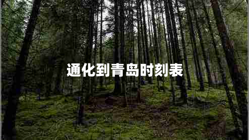 通化到青島時刻表 通化到青島時刻表