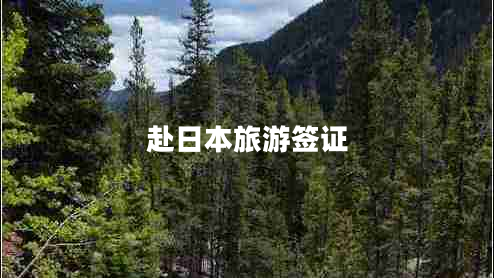 赴日本旅游簽證 赴日本旅游簽證