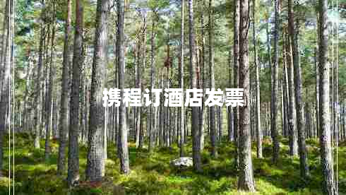 攜程訂酒店發(fā)票