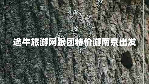 途牛旅游網(wǎng)跟團特價游南京出發(fā) 途牛旅游網(wǎng)跟團特價游南京出發(fā)