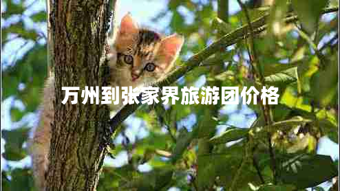 萬(wàn)州到張家界旅游團(tuán)價(jià)格