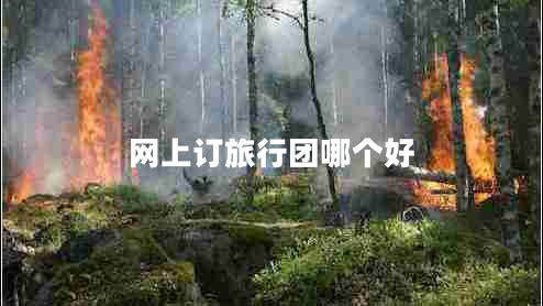 網(wǎng)上訂旅行團哪個好 網(wǎng)上訂旅行團哪個好