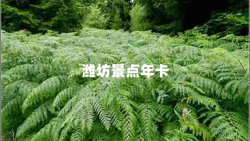 濰坊景點(diǎn)年卡 濰坊景點(diǎn)年卡