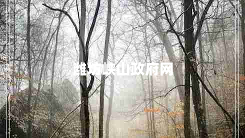 濰坊峽山政府網(wǎng)