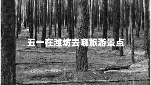 五一在濰坊去哪旅游景點(diǎn)