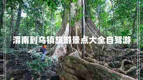 渭南到烏鎮(zhèn)旅游景點大全自駕游