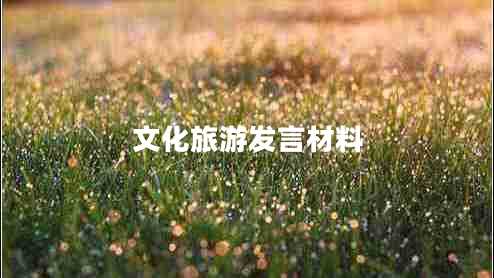 文化旅游發(fā)言材料 文化旅游發(fā)言材料