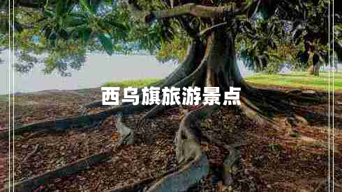 西烏旗旅游景點