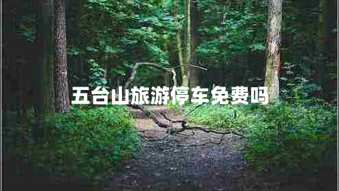 五臺山旅游停車免費(fèi)嗎