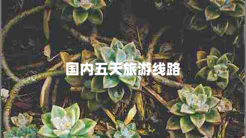 國(guó)內(nèi)五天旅游線路 國(guó)內(nèi)五天旅游線路