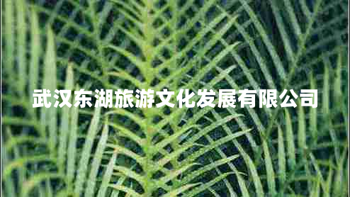 武漢東湖旅游文化發(fā)展有限公司 武漢東湖旅游文化發(fā)展有限公司