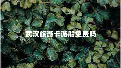 武漢旅游卡游船免費嗎