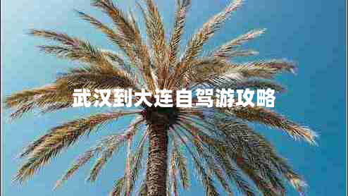 武漢到大連自駕游攻略