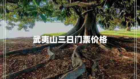 武夷山三日門(mén)票價(jià)格