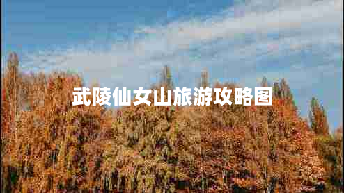 武陵仙女山旅游攻略圖