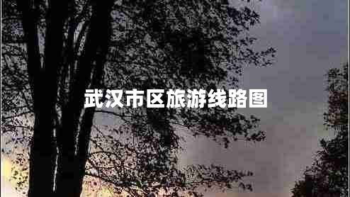 武漢市區(qū)旅游線路圖