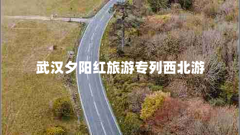 武漢夕陽紅旅游專列西北游