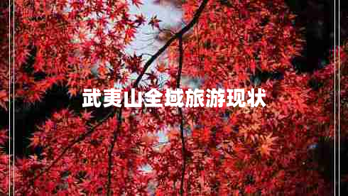 武夷山全域旅游現(xiàn)狀