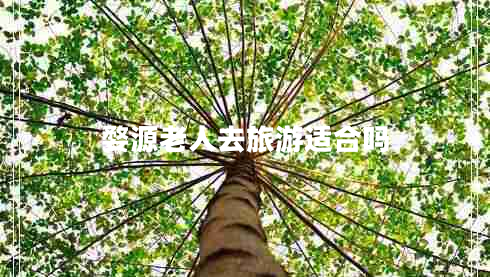 婺源老人去旅游適合嗎 婺源老人去旅游適合嗎