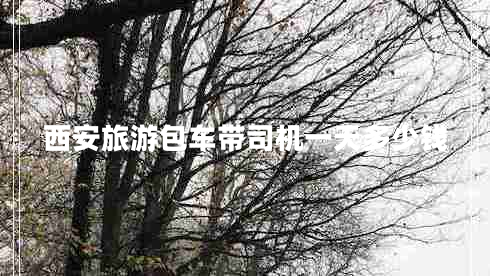 西安旅游包車帶司機一天多少錢 西安旅游包車帶司機一天多少錢