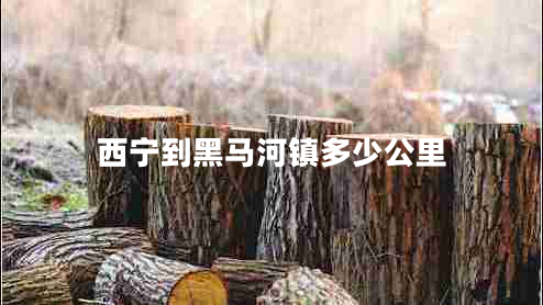 西寧到黑馬河鎮(zhèn)多少公里 西寧到黑馬河鎮(zhèn)多少公里