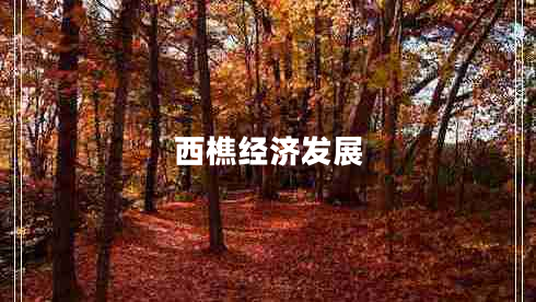 西樵經(jīng)濟(jì)發(fā)展