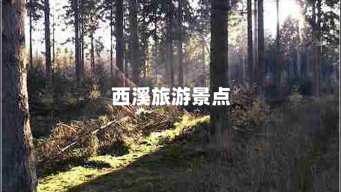 西溪旅游景點(diǎn) 西溪旅游景點(diǎn)