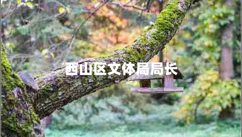 西山區(qū)文體局局長 西山區(qū)文體局局長