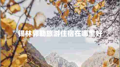 錫林郭勒旅游住宿在哪里好