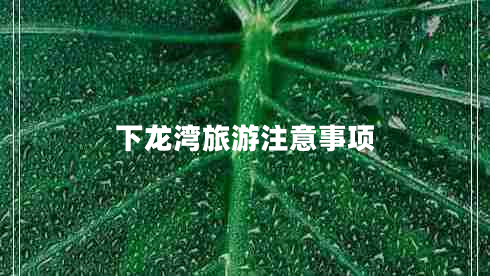 下龍灣旅游注意事項(xiàng)