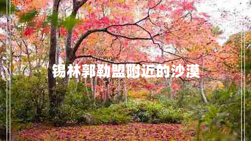 錫林郭勒盟附近的沙漠 錫林郭勒盟附近的沙漠